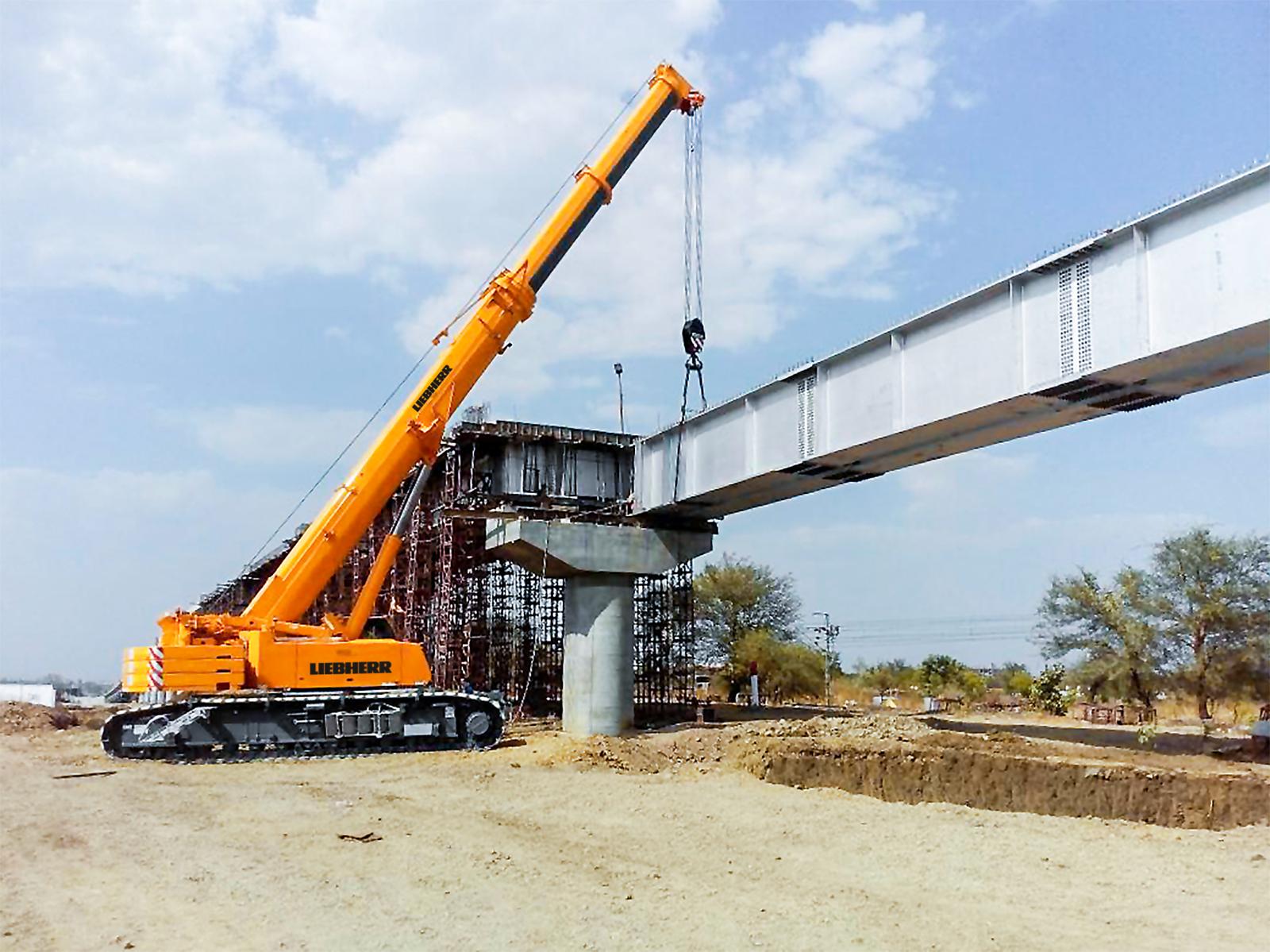 Telescopic Crawler Crane